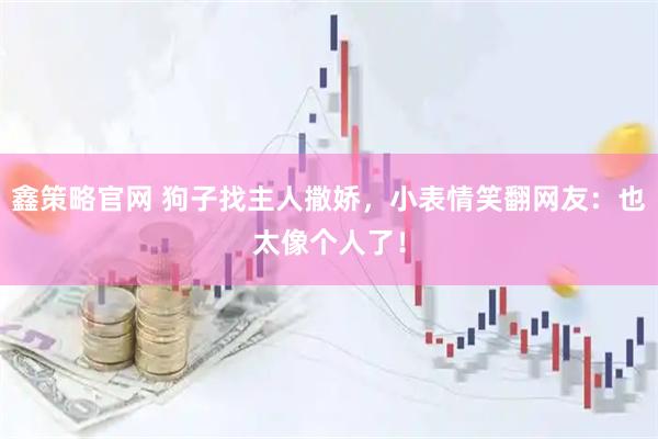 鑫策略官网 狗子找主人撒娇，小表情笑翻网友：也太像个人了！